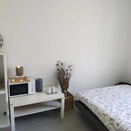 아파트 Proche Gare Arene & Carre D'art 님